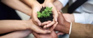 sustainability-page-hero-committed-continual-growth-cropped-shot-group-unidentifiable-businesspeople-cupping-their-hands-around-small-seedling (1)